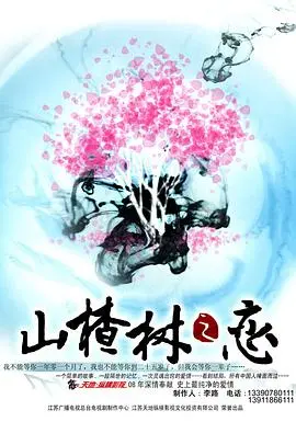 纯真年代的爱情绝唱：《山楂树之恋2011》高清完整版解读