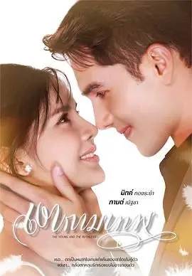 《新爱神之影》：当欲望与现实交织，爱与毁灭共舞，你准备好迎接这场情感风暴了吗？