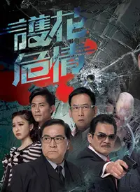 《护花危情》：警匪生死恋，绝境中的浪漫与抉择，挑战人性底线