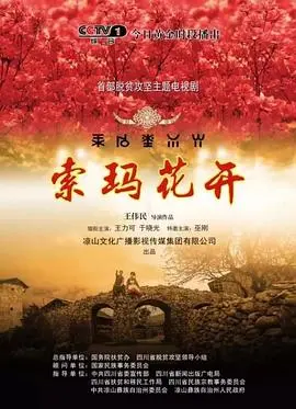 《索玛花开》：在无垠黑暗中寻找救赎，见证平凡孕育的伟大生命力